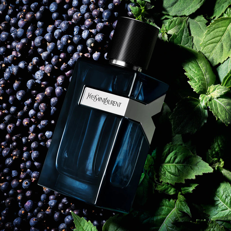 Y for Men, Apa de Parfum Intense - 60ml