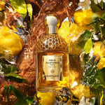 Guerlain Aqua Allegoria Forte Oud Yuzu, Apa de Parfum, Femei - 75ml