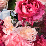 Guerlain Aqua Allegoria Rosa Rossa Eau de Toilette 75ml
