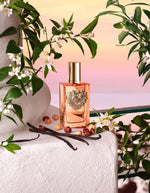 Dolce & Gabbana Devotion Intense, Apa de Parfum, Femei  - 100ml