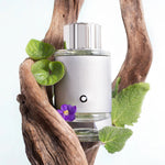 Mont Blanc Explorer Platinum, Apa de Parfum, Barbati - 100ml