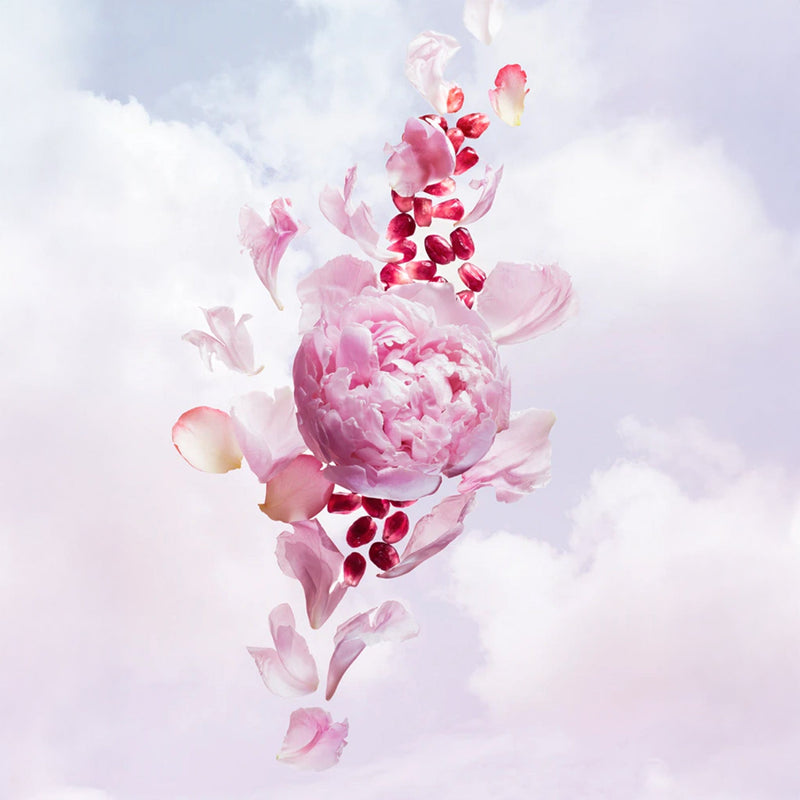Viktor & Rolf Flowerbomb Bloom Eau de Toilette 50ml