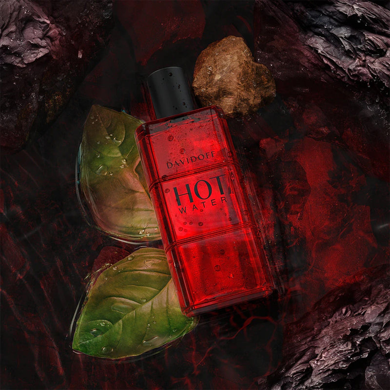 Davidoff Hot Water, Apa de Toaleta, Barbati - 110ml
