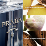 Prada L'Homme L'eau, Apa de Toaleta - 100ml