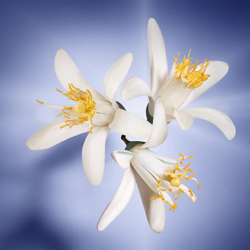 Lancome La Vie Est Belle l'Eclat Eau de Parfum 75ml