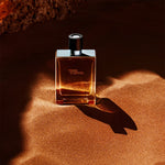 Hermes Terre d'Hermes, Apa de Toaleta, Barbati - 100ml