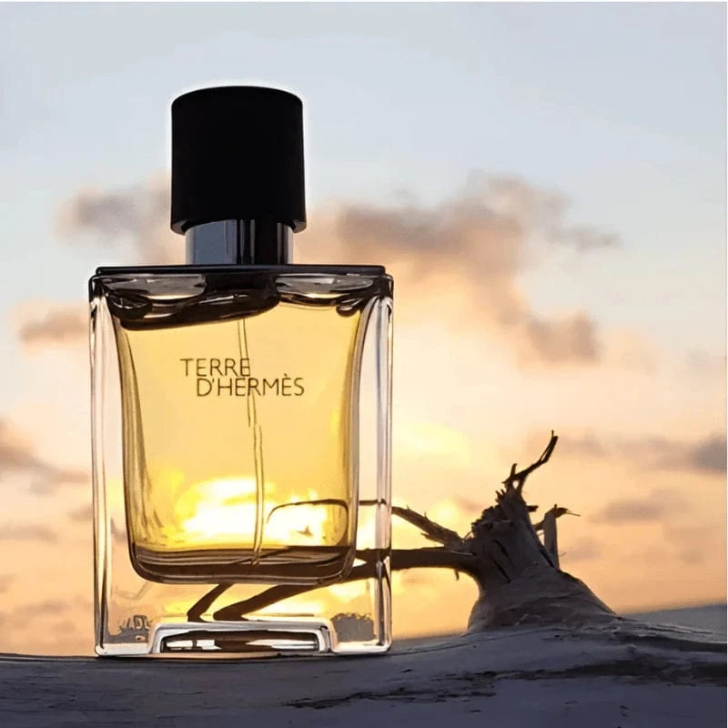 Hermes Terre d'Hermes, Apa de Toaleta, Barbati - 100ml