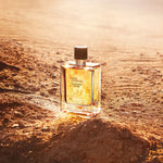 Hermes Terre d'Hermes Eau Intense Vetiver, Apa de Parfum, Barbati - 100ml
