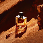 Hermes Terre d'Hermes Parfum , Barbati - 75ml