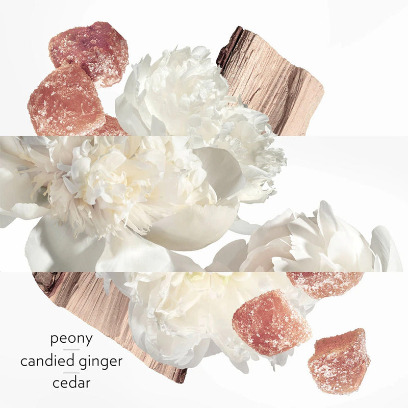 Hermes Twilly d'Hermes Eau Ginger, Apa de Parfum, Femei - 30ml